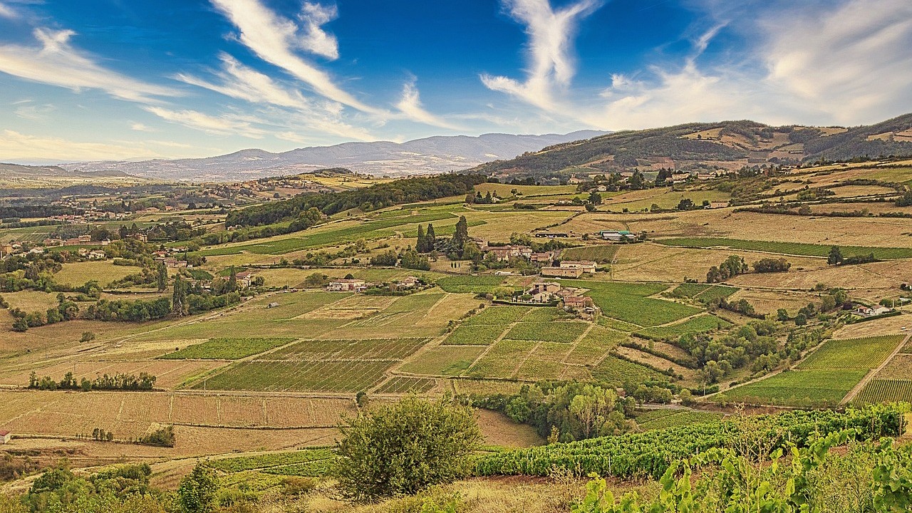 Rhône : un belvédère offre une vue magnifique sur le Beaujolais