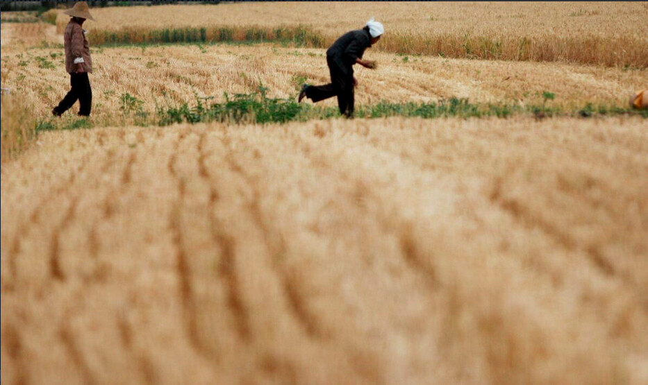 La campagne de « gestion rurale » menée par la Chine suscite un mécontentement généralisé