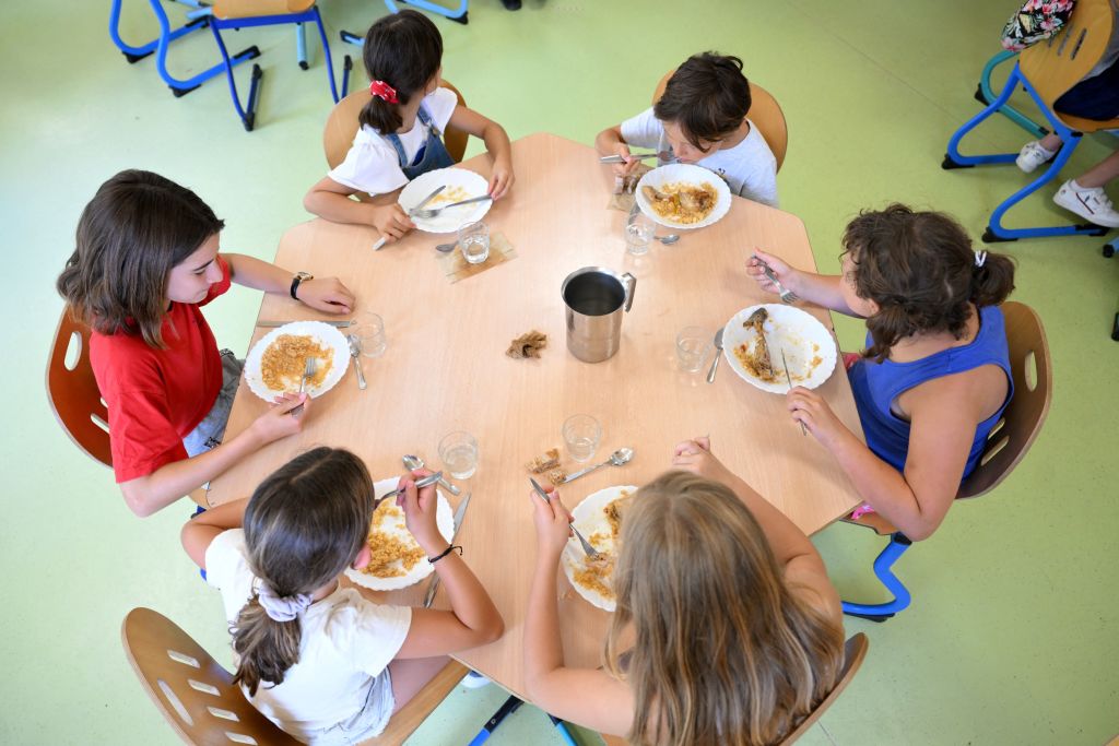 Sauvagnon: 80 élèves d’une école maternelle et primaire malades après un déjeuner à la cantine