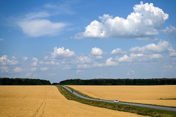 Mécanismes et conséquences des sanctions contre la Russie: l’exemple du secteur agricole