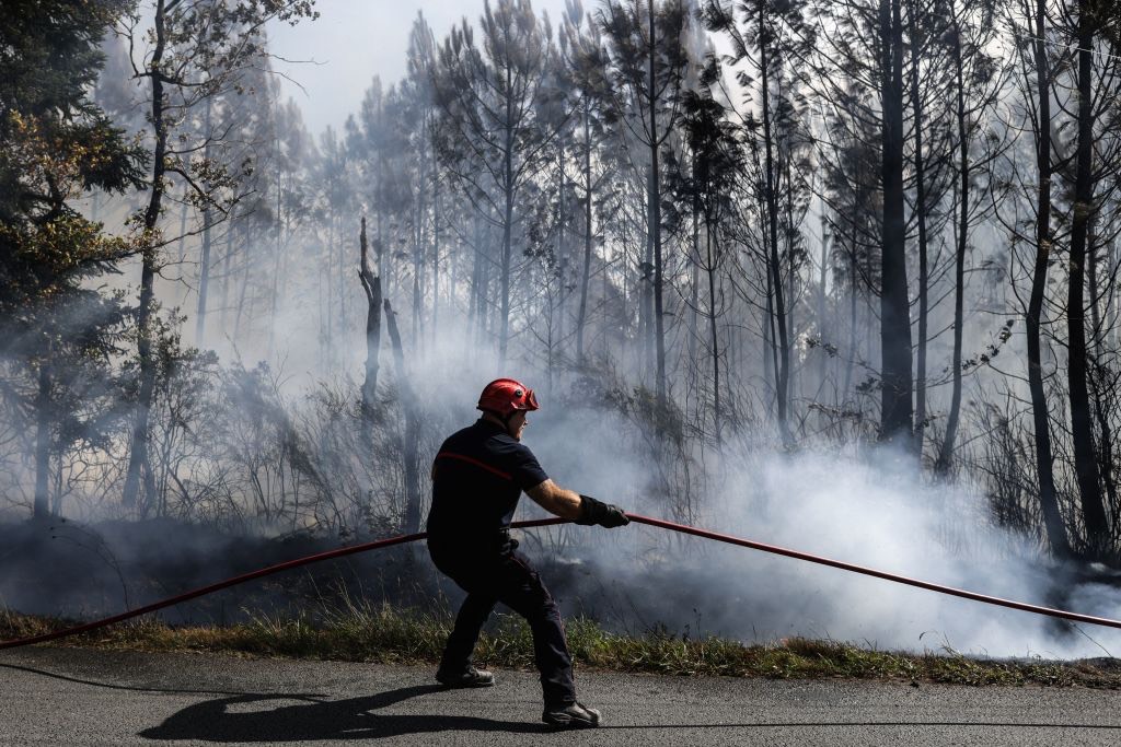 Incendies: les députés votent l&rsquo;interdiction de fumer dans les forêts et les bois