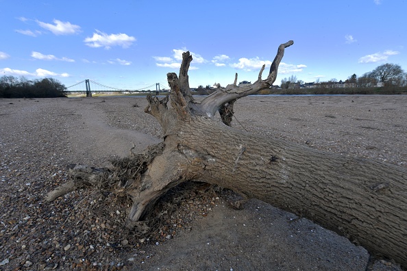 Sécheresse: 68% des nappes phréatiques à des niveaux insuffisants malgré la pluie
