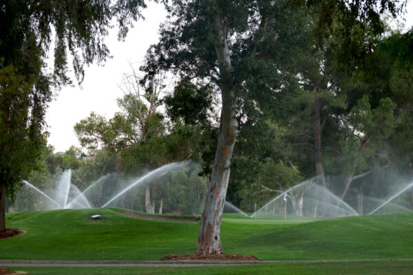 Sécheresse: un maire de la Côte d&rsquo;Azur dénonce ses célébrités, grosses consommatrices d&rsquo;eau