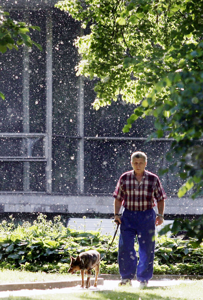 Allergies: le premier «pollinarium sentinelle» ouvre à Paris