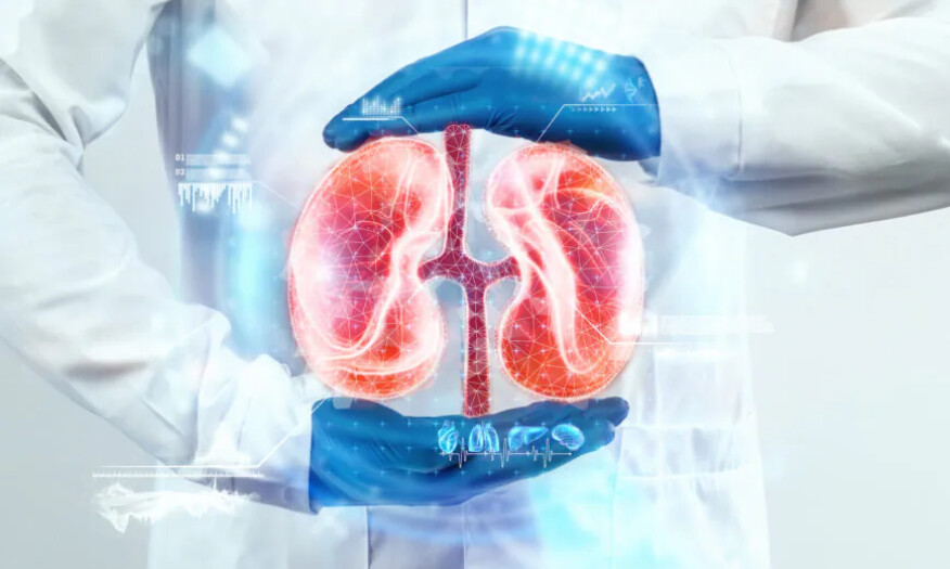 Identifier les signaux de détresse rénale et 7 façons de garder vos reins en bonne santé