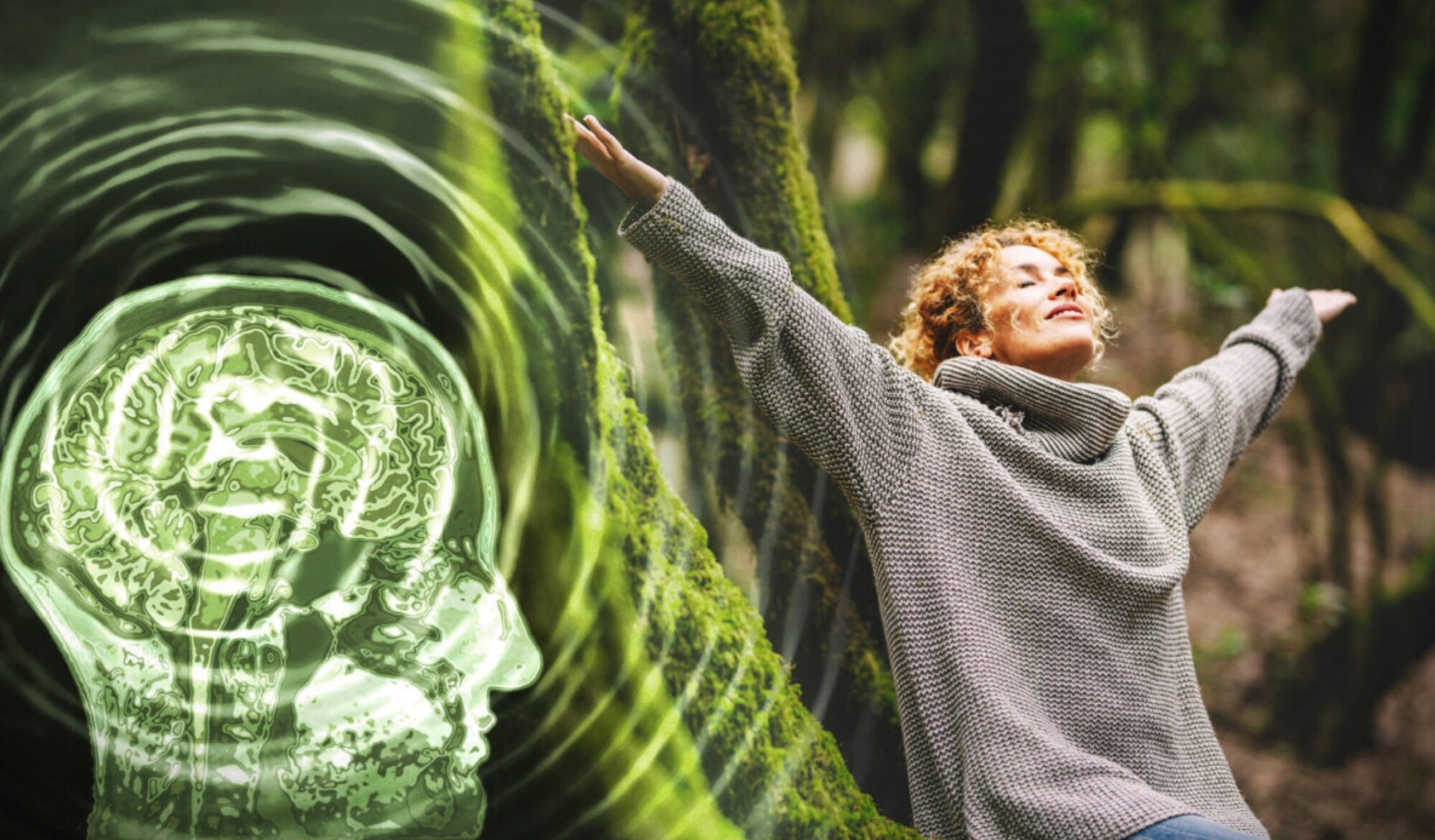 Un scientifique connecte 256 électrodes à sa tête et découvre que le bonheur n&rsquo;est pas lié à la réussite matérielle