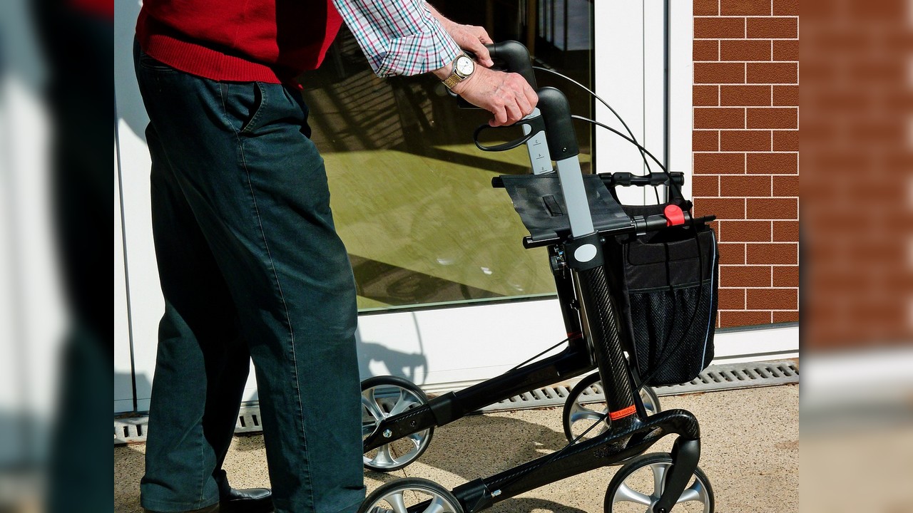 Vienne : il se balade dans un bois et se fait voler son déambulateur