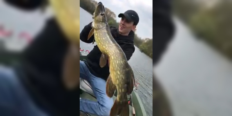 Alsace : un jeune Ardennais pêche le «poisson de sa vie», dans un petit lac de montagne où l’on ne trouve que des truites
