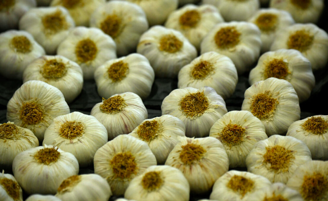 L&rsquo;ail australien peut éliminer le virus du Covid-19 et de la grippe à 99,9 % selon des scientifiques