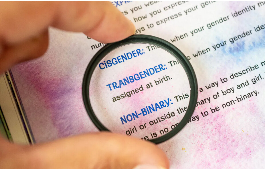 « Ils sont terrifiés »: des activistes trans expriment leurs peurs lors d&rsquo;une conférence