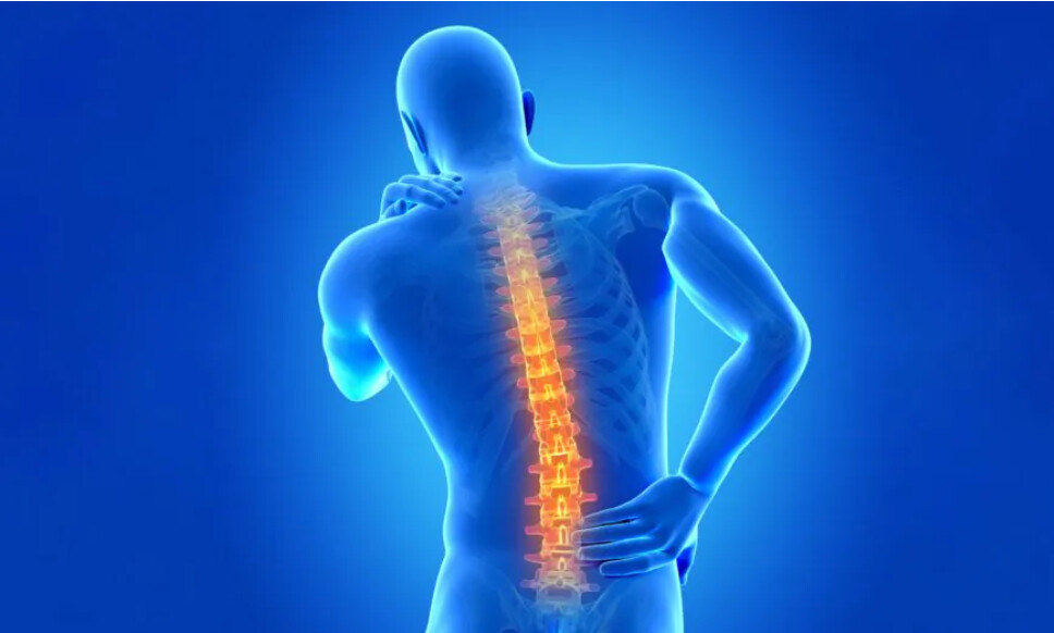 Les maux de dos : 8 exercices faciles à faire à la maison pour un soulagement rapide