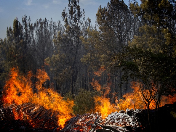 Incendie dans les Vosges, une dizaine d&rsquo;hectares détruits