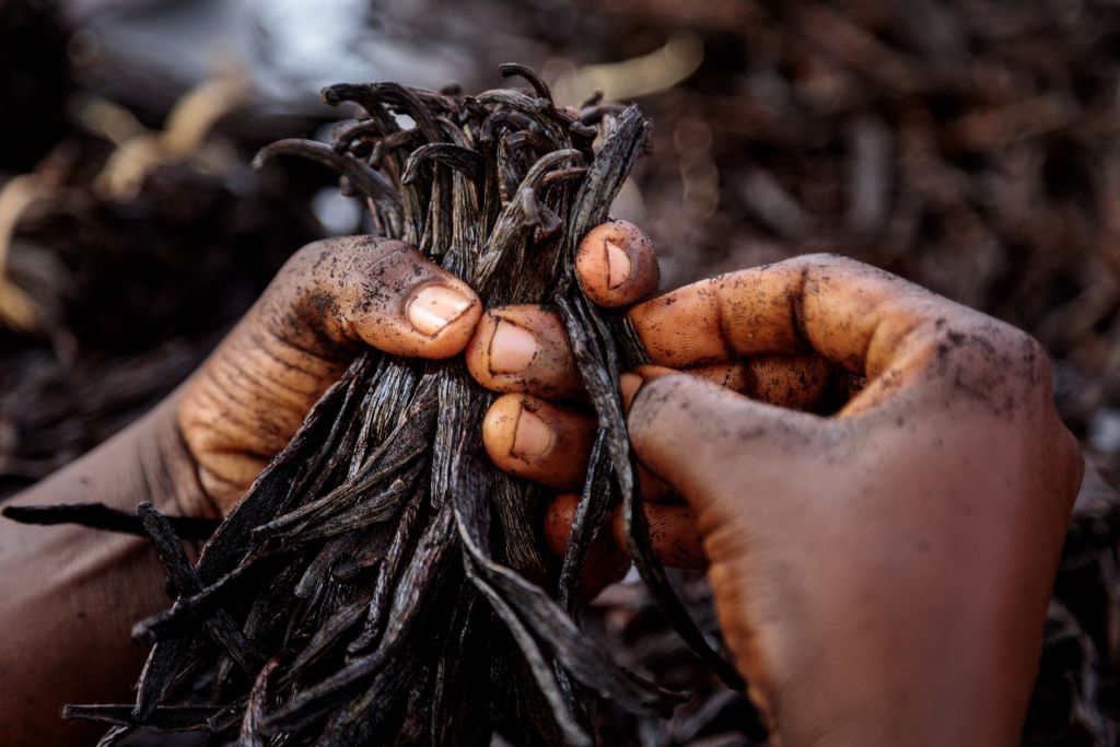 Une équipe de voleurs de vanille démantelée en Polynésie
