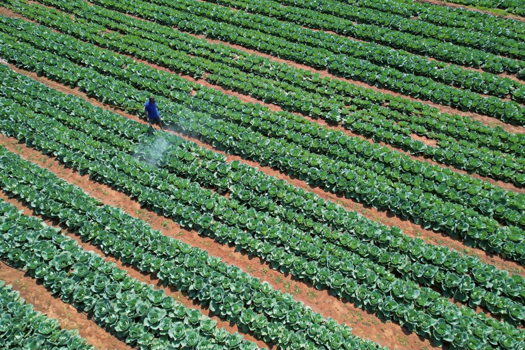 Une nouvelle génération de pesticides inquiète l&rsquo;ONG Pollinis