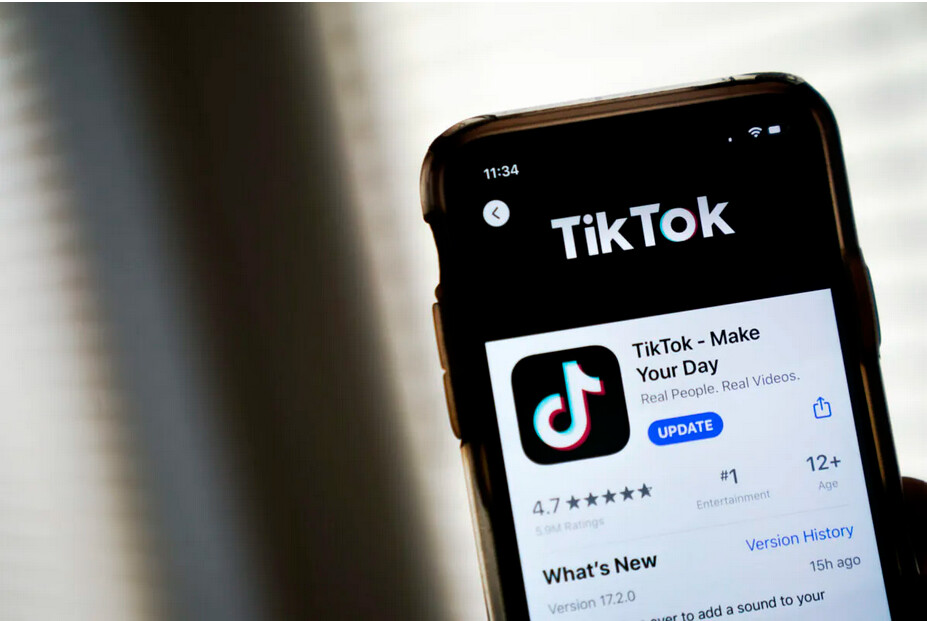 Quels sont les pays qui demandent – et obtiennent – des suppressions de contenus sur TikTok ?
