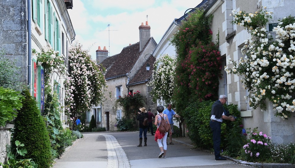 Plus d&rsquo;un millier de rosiers et seulement 600 habitants à Chédigny: le village est classé «Jardin remarquable»