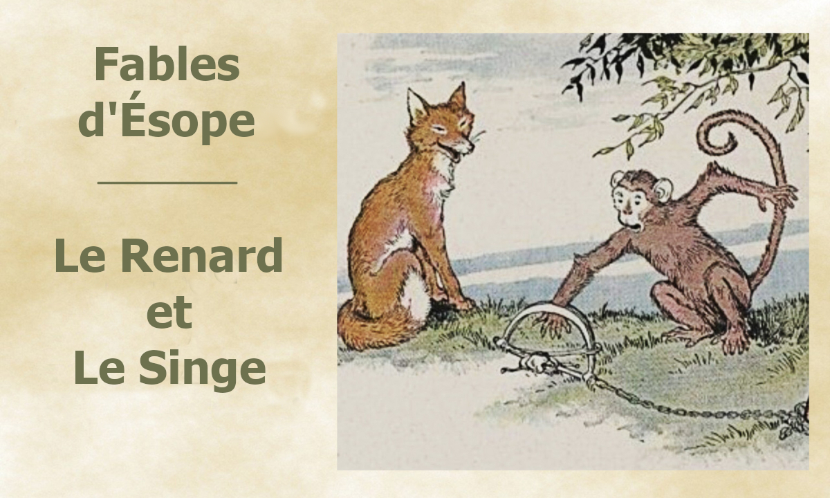 La jungle organise une nouvelle élection: le vrai chef se démarque par ses qualités