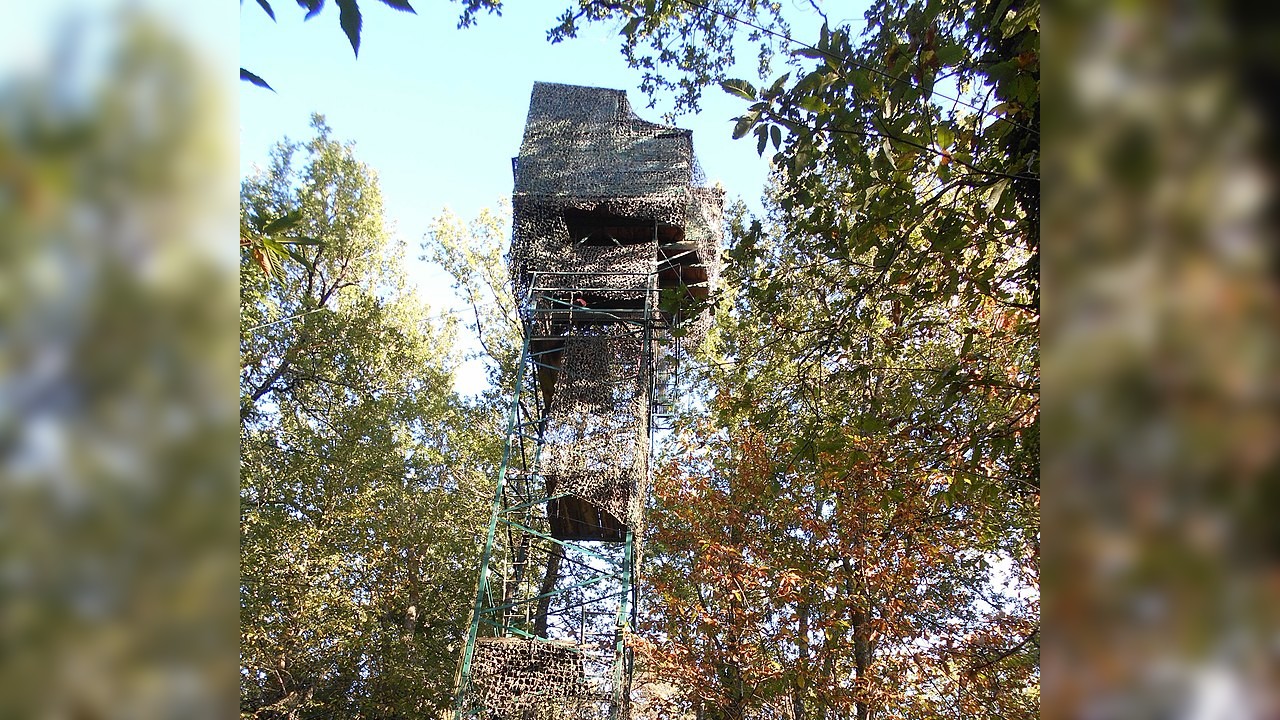 Une adolescente de 15 ans décède en chutant d&rsquo;une palombière en Corrèze