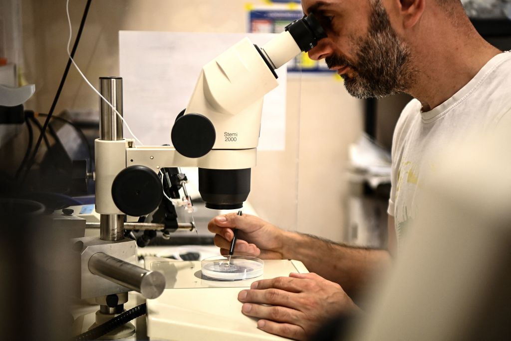 Rendre la recherche biomédicale de nouveau attractive, une nouvelle mission du gouvernement