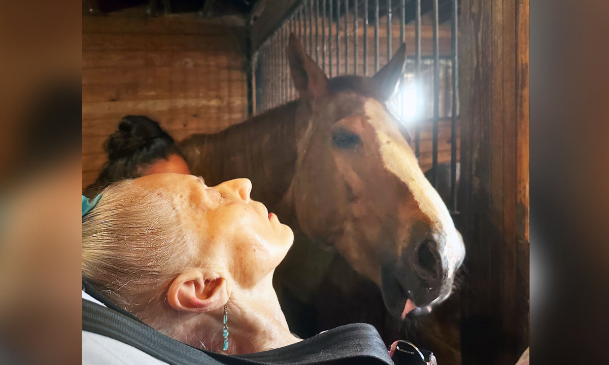 Le dernier souhait d&rsquo;une femme de 79 ans est exaucé : les soignants lui permettent de voir une dernière fois son cheval bien-aimé