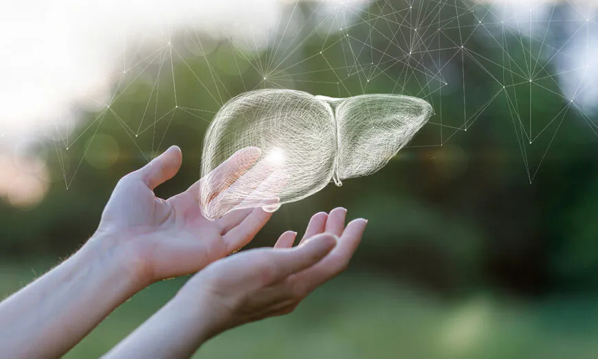 Ces 4 choses peuvent dégrader la santé de votre foie