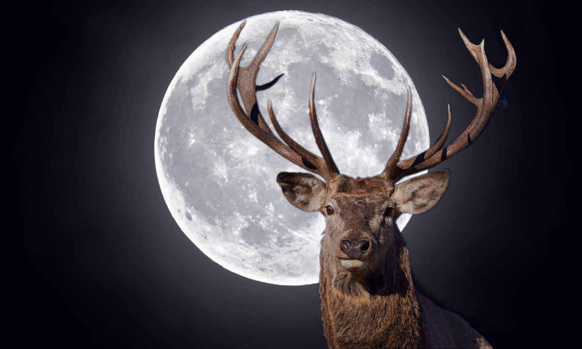 La première super lune de 2023 sera une pleine lune du cerf autour du solstice d&rsquo;été – ce qu&rsquo;il faut savoir