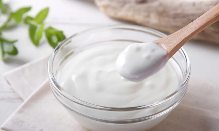 Les bienfaits des probiotiques : Renforcer l&rsquo;immunité grâce aux aliments fermentés maison