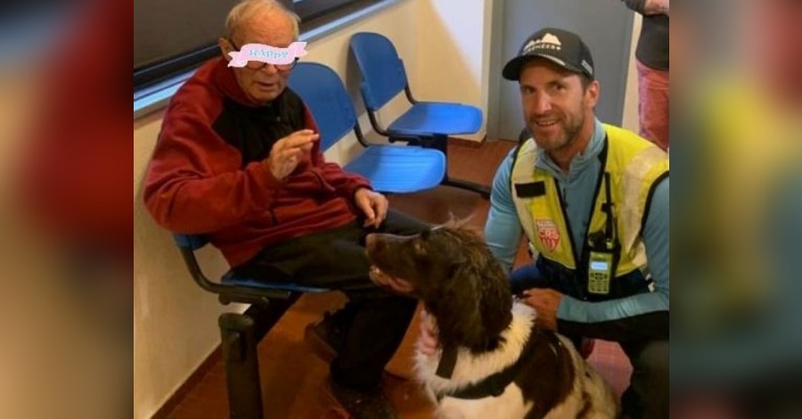 Pyrénées-Orientales: un épagneul allemand retrouve un homme perdu atteint de la maladie d&rsquo;Alzheimer