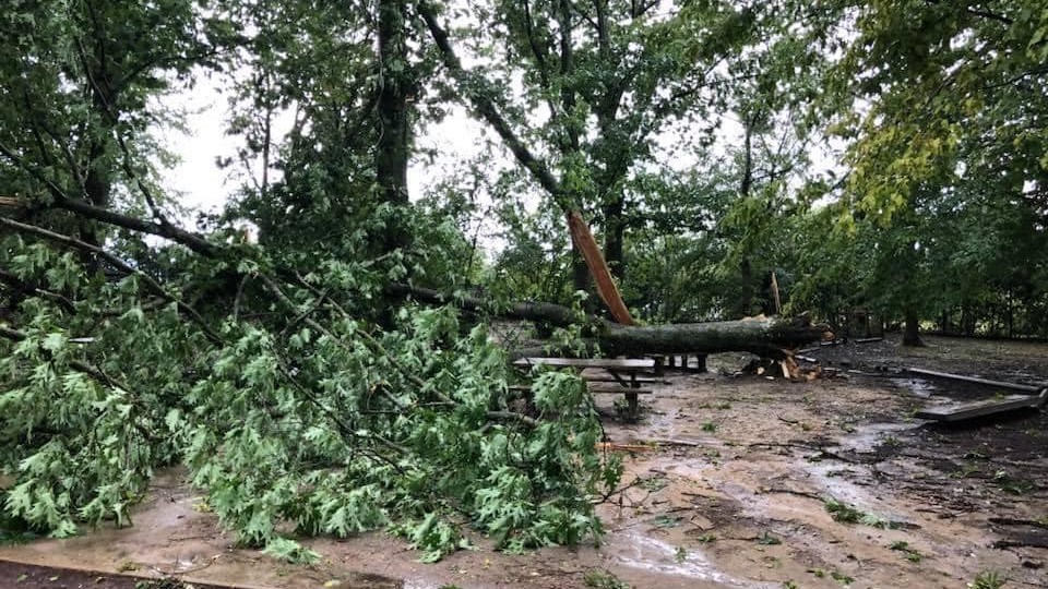 Le célèbre parc des Oiseaux dans l&rsquo;Ain ravagé par les violents orages
