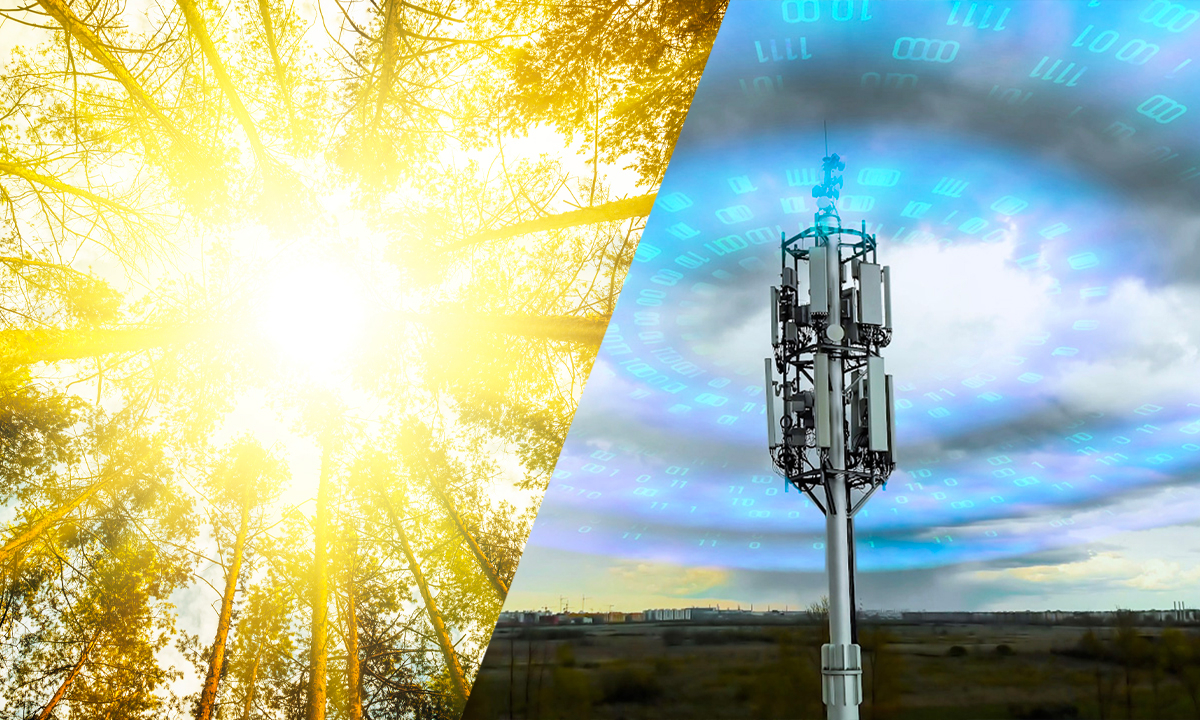 Champs électromagnétiques artificiels et naturels : pourquoi la Wi-Fi, le Bluetooth et les téléphones portables endommagent-ils les cellules ?