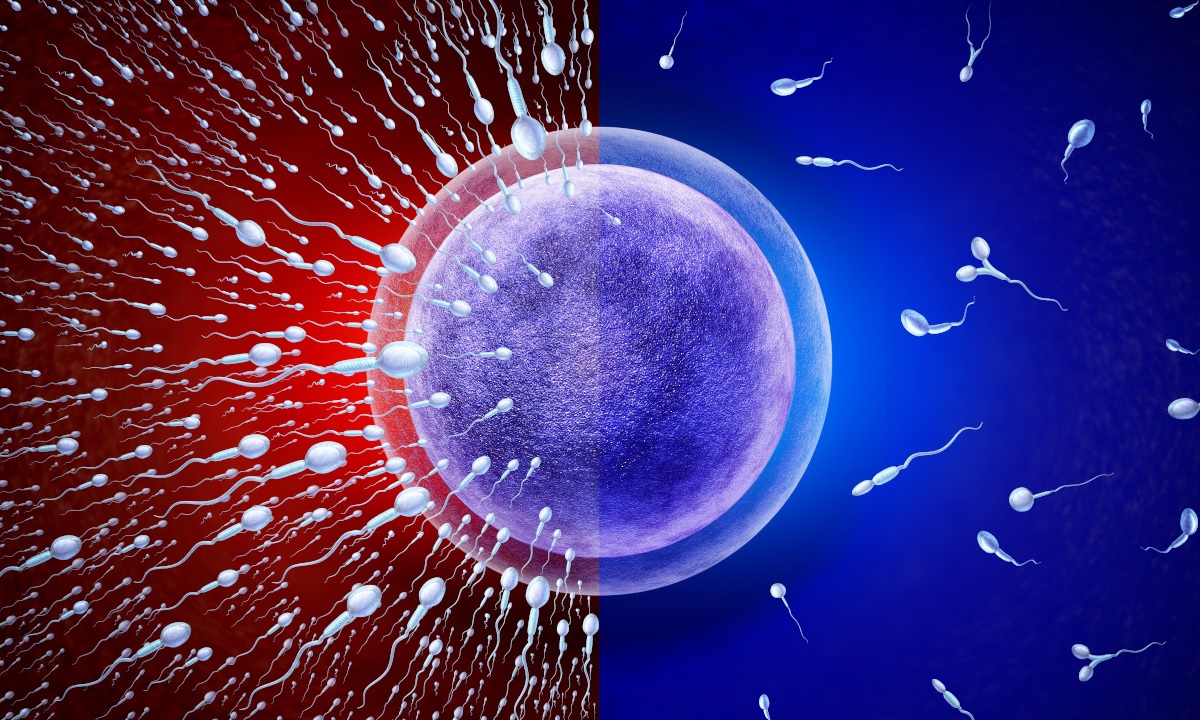 Le Wi-Fi et d&rsquo;autres champs électromagnétiques pourraient être liés à l&rsquo;infertilité et aux fausses couches