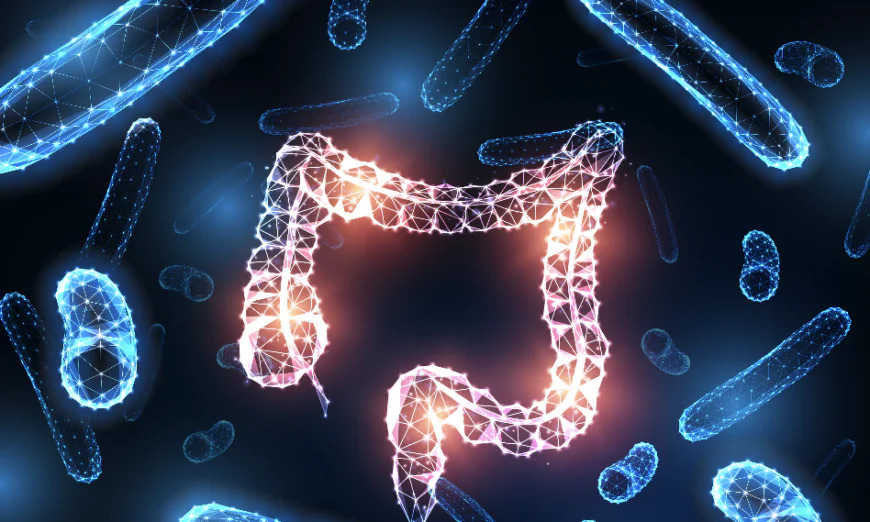 2 façons étranges dont la médecine manipule le microbiome