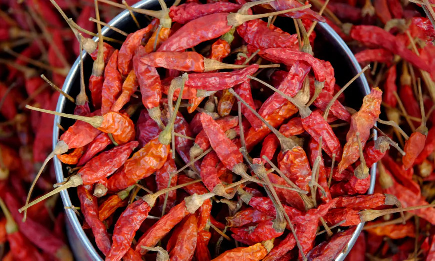 4 puissants anticoagulants naturels pour lutter contre les maladies cardiaques