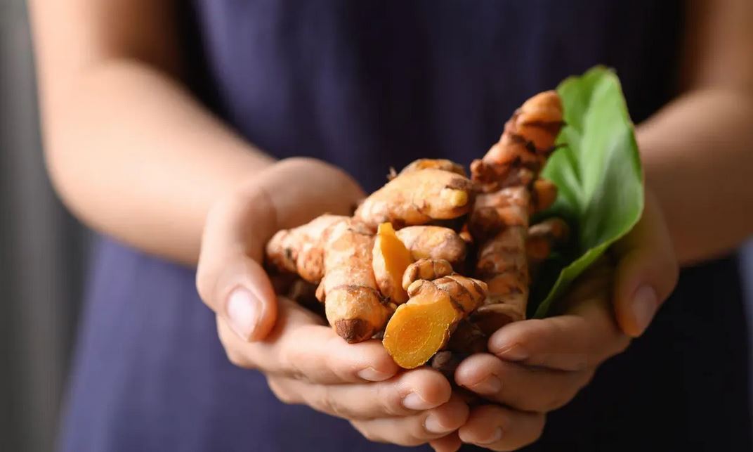 L&rsquo;arsenal de la nature: 7 plantes médicinales pour la prévention et le traitement du Covid-19