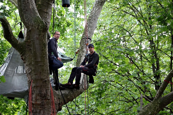Il s&rsquo;installe dans le platane devant le ministère de la Transition écologique pour sauver des arbres centenaires de l&rsquo;abattage