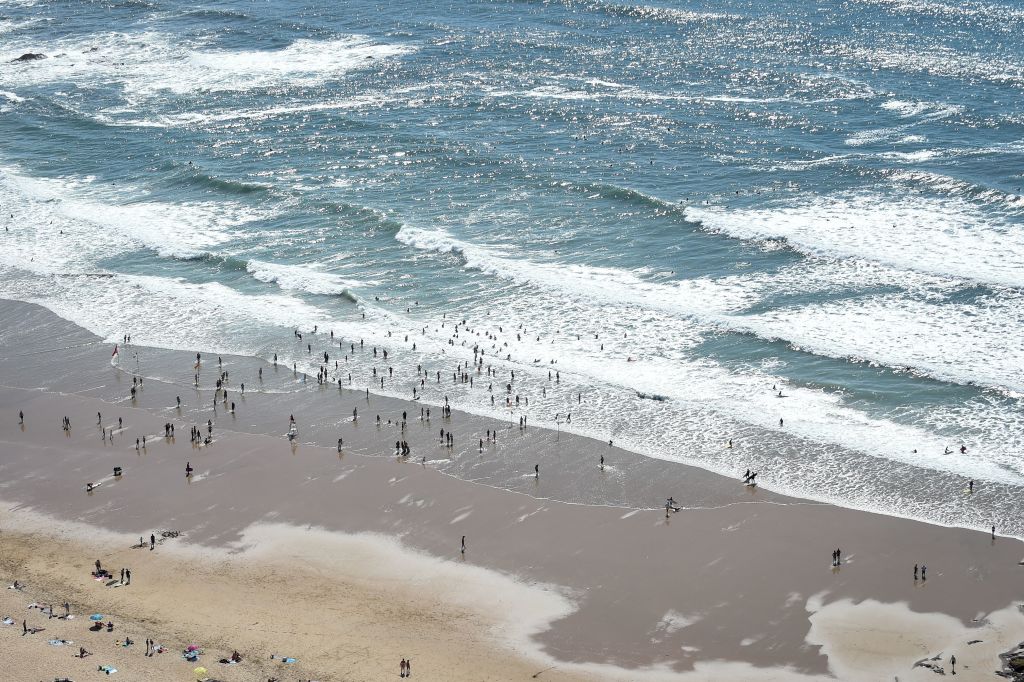 Vendée: un poisson-lune observé au bord de la Grande plage des Sables-d&rsquo;Olonne