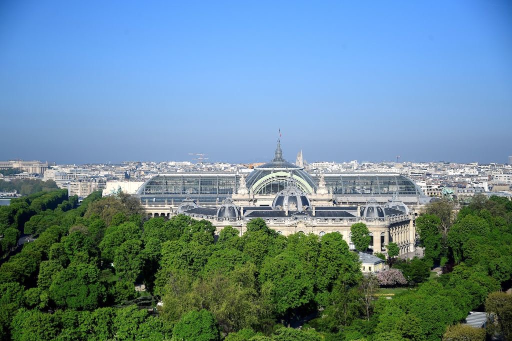 Quand les arbres sont nos meilleurs alliés contre la chaleur urbaine