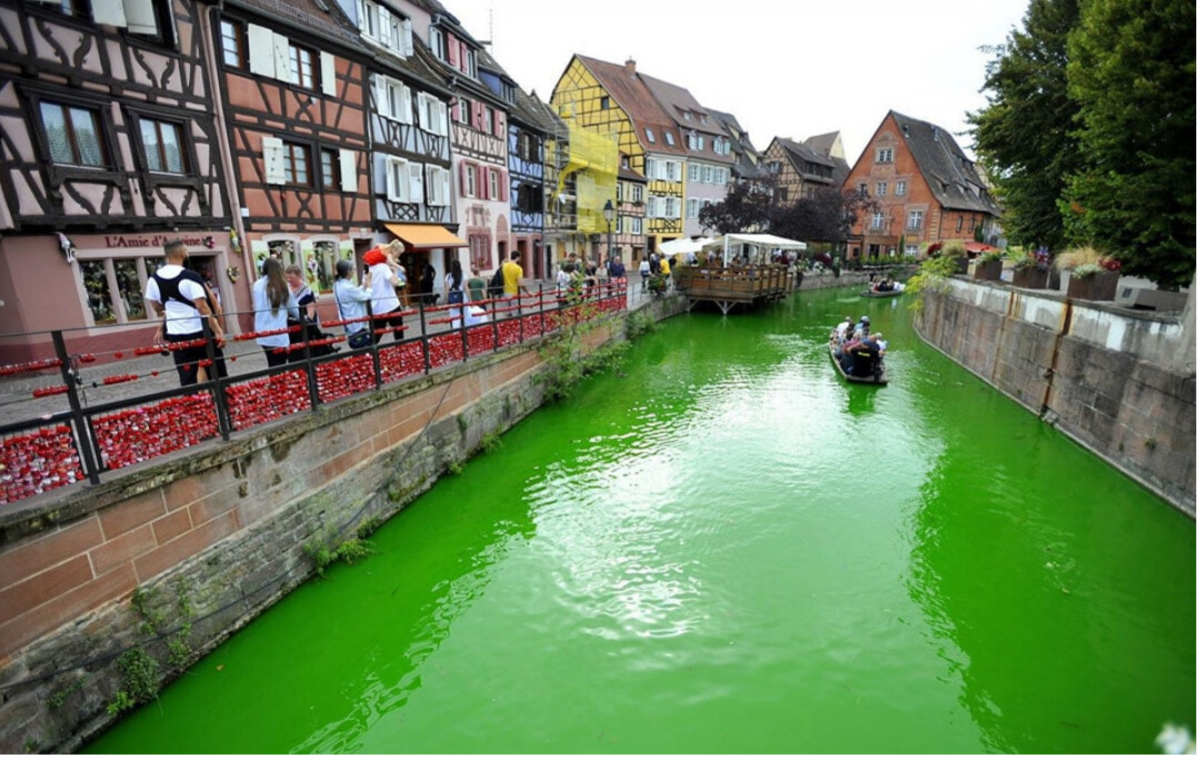 Colmar: un militant d&rsquo;Extinction Rebellion déverse un colorant fluo dans la rivière, des poissons retrouvés morts