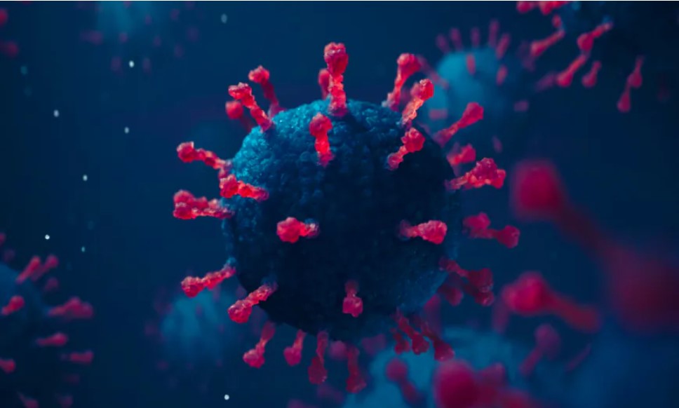 Ce qu&rsquo;il faut savoir sur le nouveau variant «Eris» du Covid