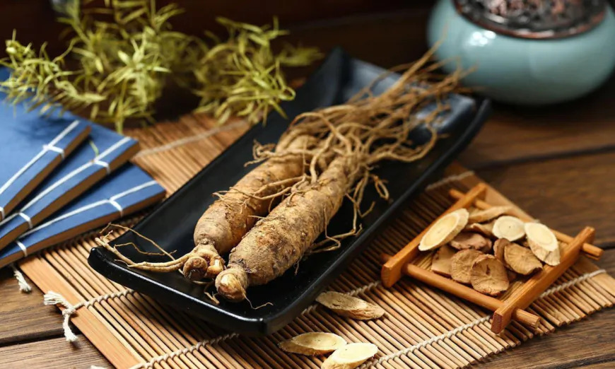 Le ginseng, roi des plantes médicinales – 6 fonctions principales, prescriptions thérapeutiques et contre-indications