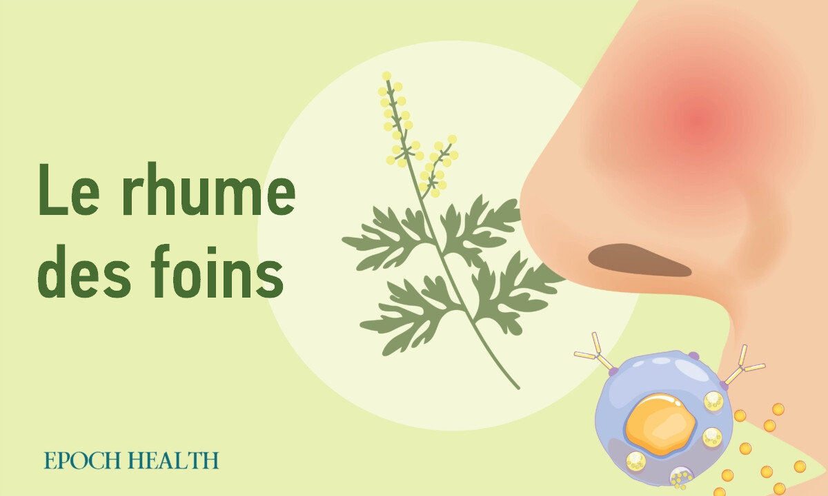 Le guide essentiel du rhume des foins (rhinite allergique) : symptômes, causes, traitements et approches naturelles