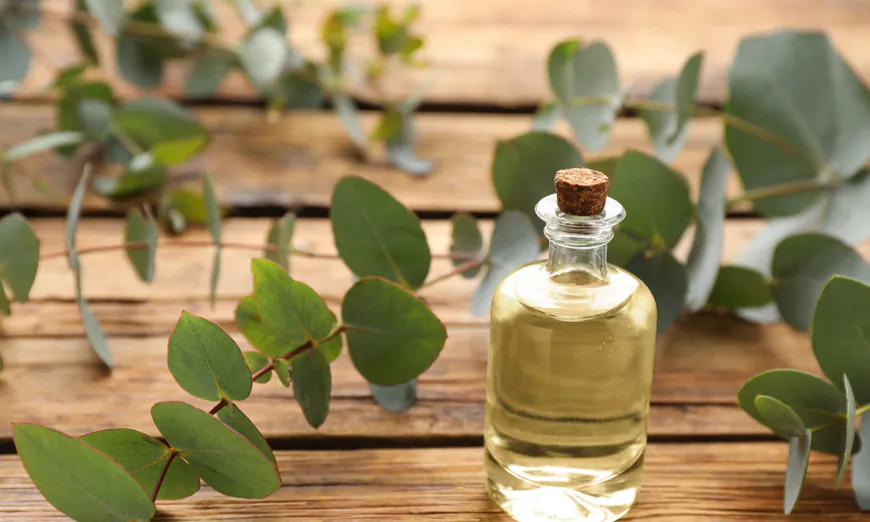 L&rsquo;aromathérapie pour améliorer les troubles de l&rsquo;odorat et du goût dans les cas de Covid long