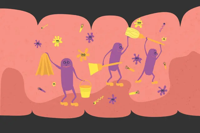 Comment les probiotiques peuvent nous faire sentir plus mal