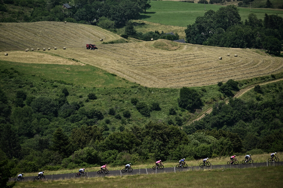 Recensement agricole : le dernier panorama de l’agriculture française