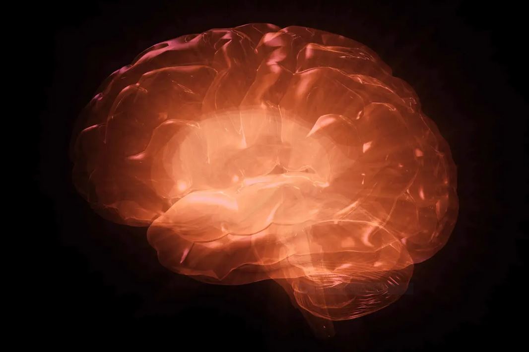 La surconsommation de sucre peut entraîner des troubles mentaux