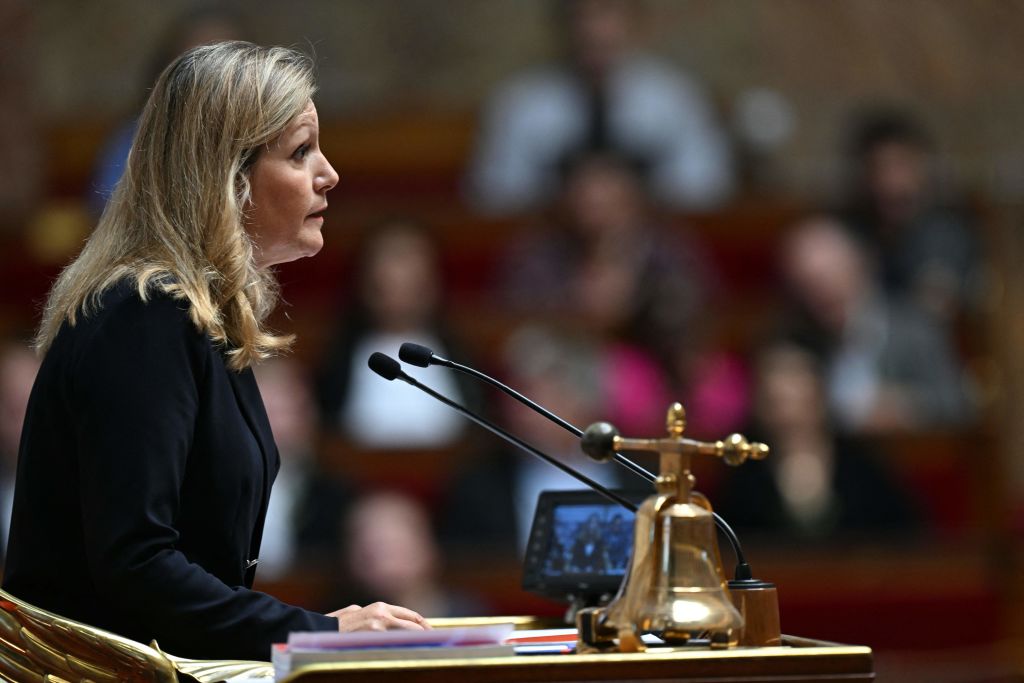 Assemblée nationale : Andy Kerbrat et Christine Engrand exclus temporairement pour usage illicite de leurs frais de mandat