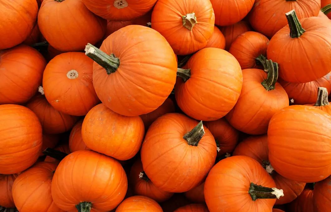 Les incroyables bienfaits de l&rsquo;humble citrouille pour la santé