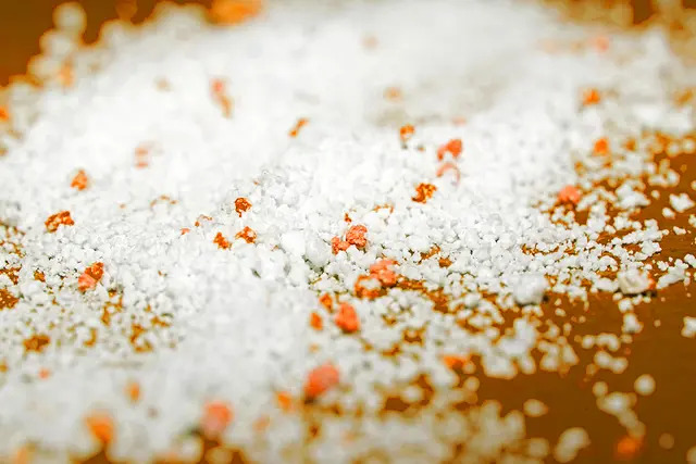 L&rsquo;impact potentiel des microplastiques sur les principaux organes, y compris le cerveau : ce que dit la science