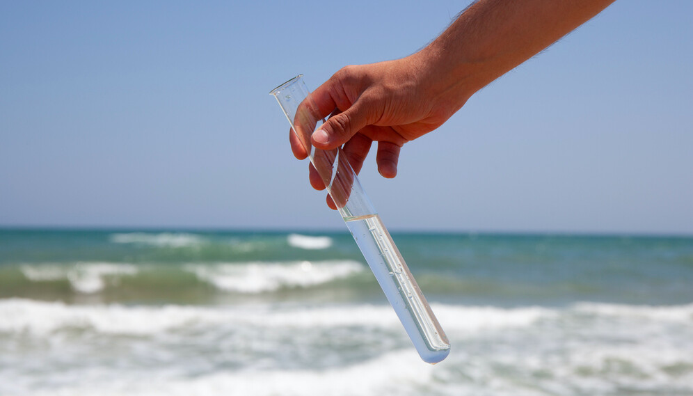 La présence de bactéries mangeuses de chair dans l&rsquo;océan Atlantique confirmée par les scientifiques