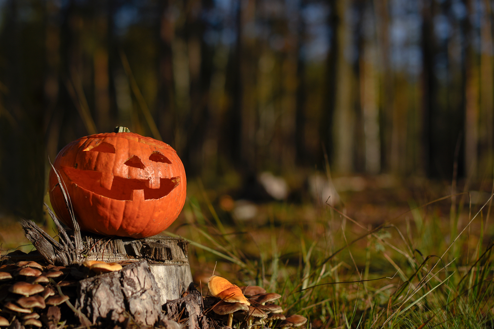 Avec Halloween, a-t-on oublié le sens de la Toussaint  ?
